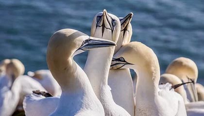 Kaiyun Sports-开云体育-开云体育下载：开启体育竞技新纪元的全方位体验